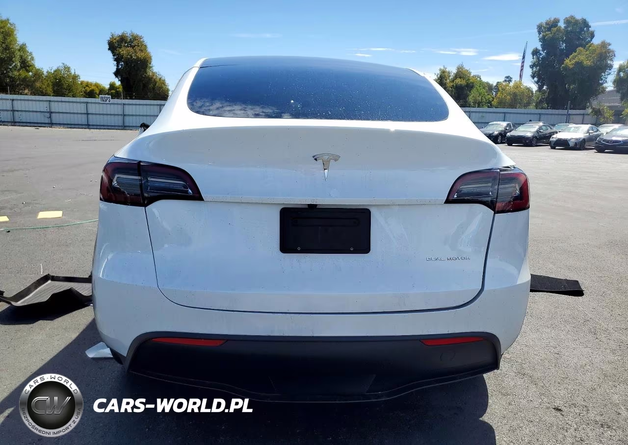 2024 Tesla Model Y VIN:7SAYGDEE4RF123280 - 6