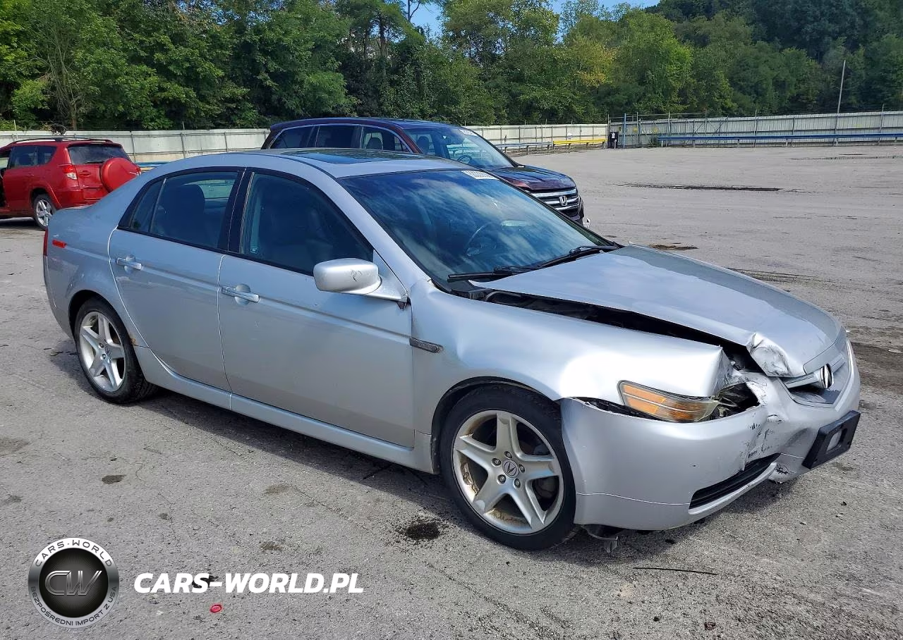 2006 Acura 3.2Tl VIN:19UUA66236A072096 - 4