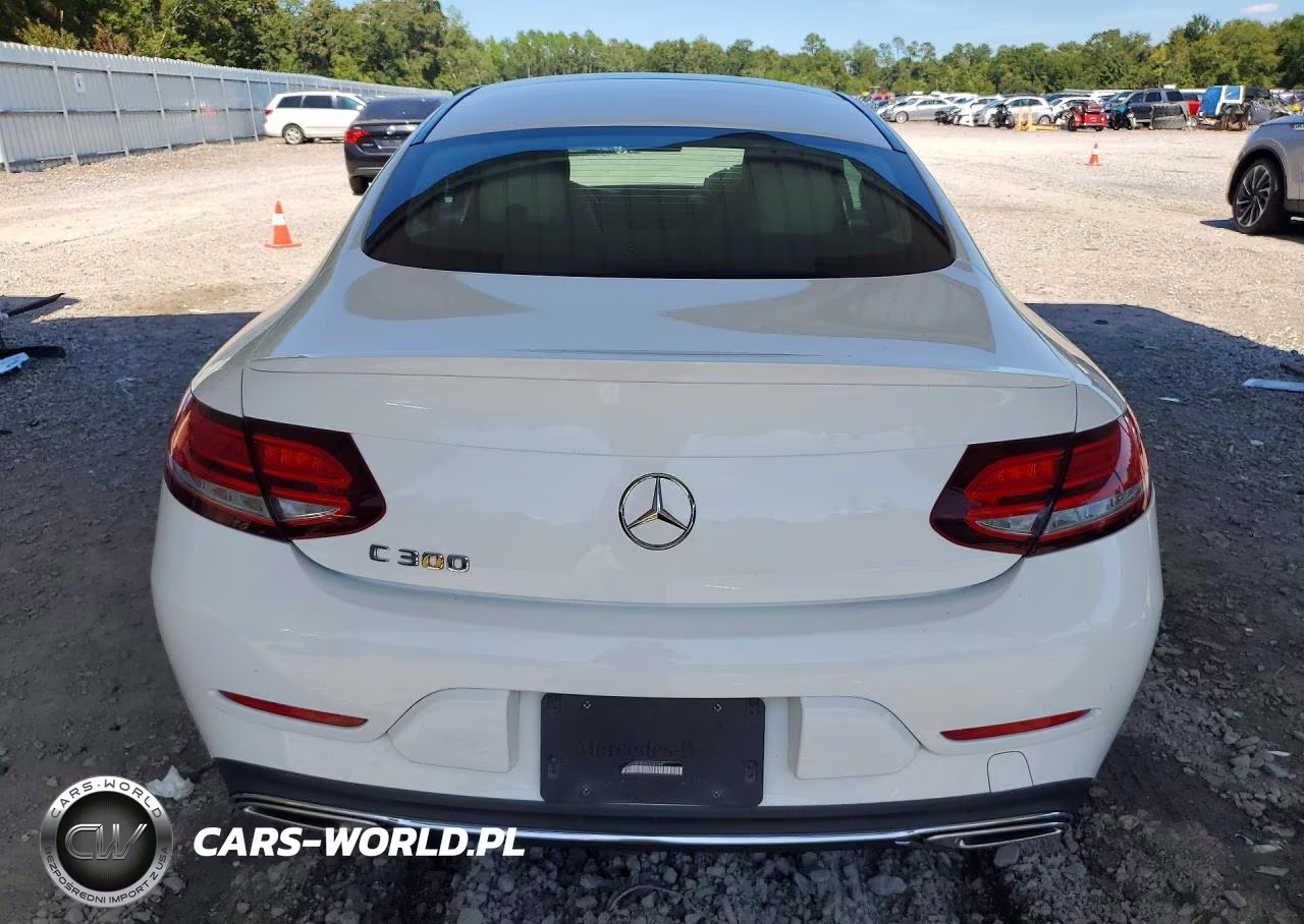 2019 Mercedes-Benz C 300 VIN:WDDWJ8DB2KF835749 - 6