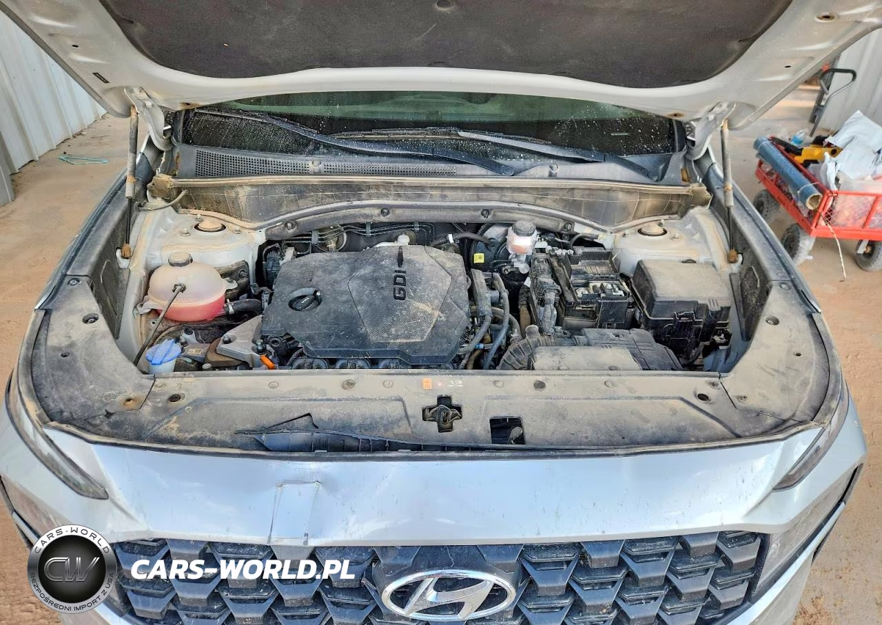 2023 Hyundai Santa Fe Sel VIN:5NMS24AJXPH562435 - 12