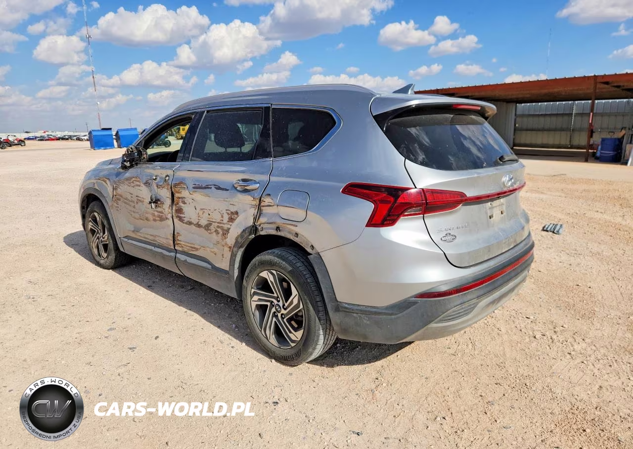 2023 Hyundai Santa Fe Sel VIN:5NMS24AJXPH562435 - 2