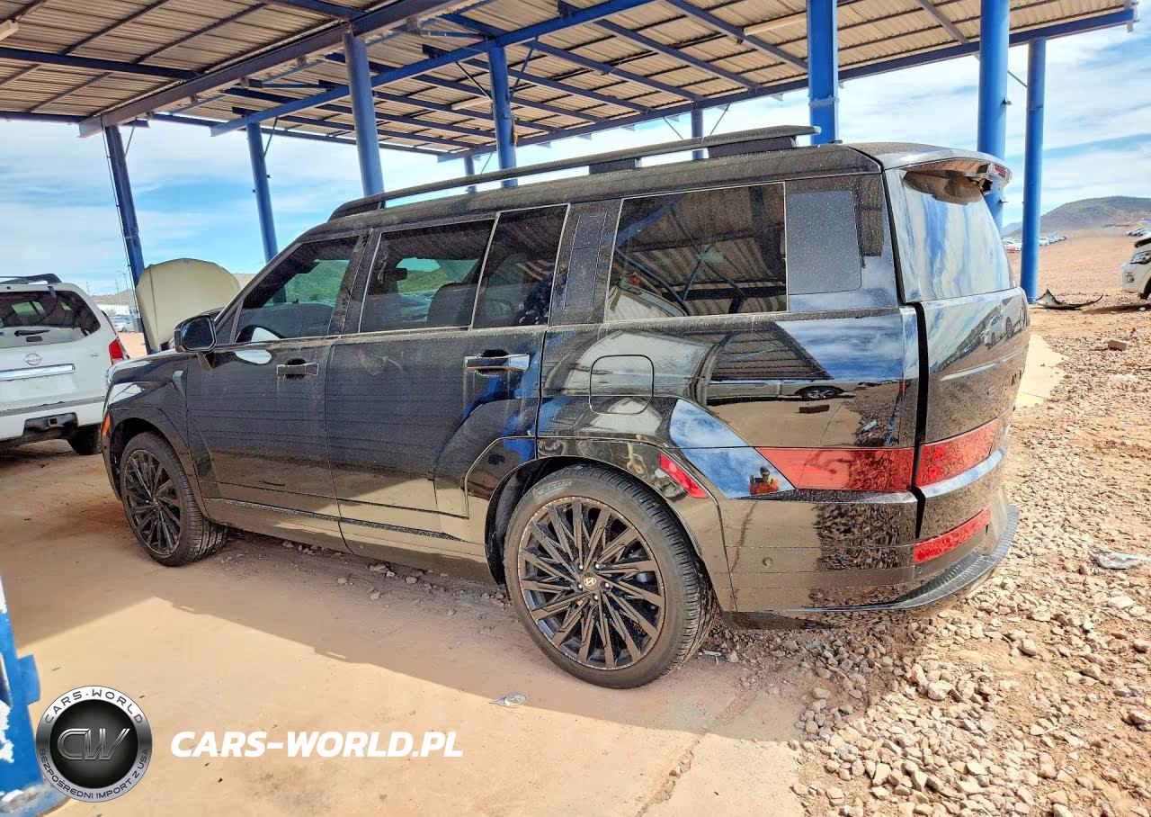 2024 Hyundai Santa Fe Calligraphy VIN:5NMP54GL2RH043422 - 2