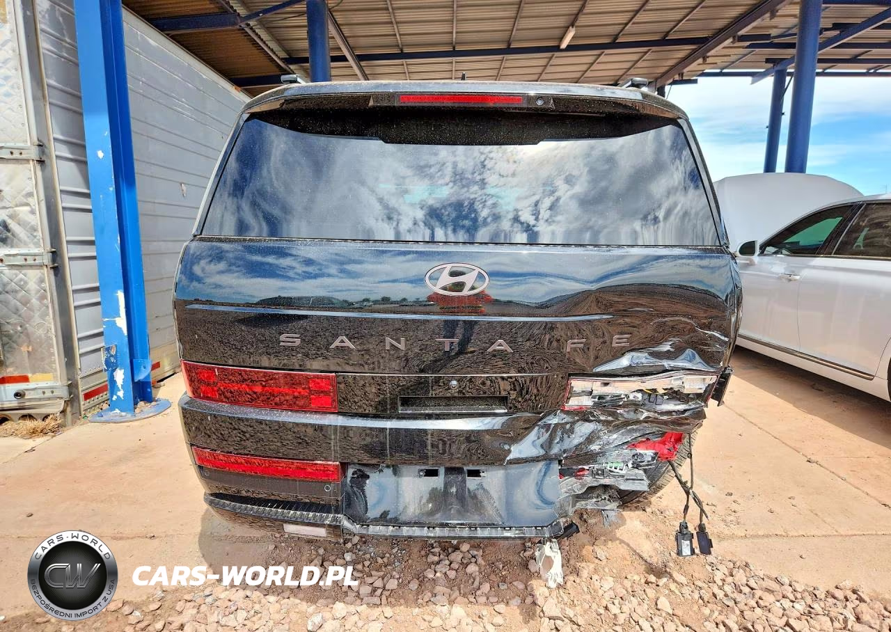 2024 Hyundai Santa Fe Calligraphy VIN:5NMP54GL2RH043422 - 6