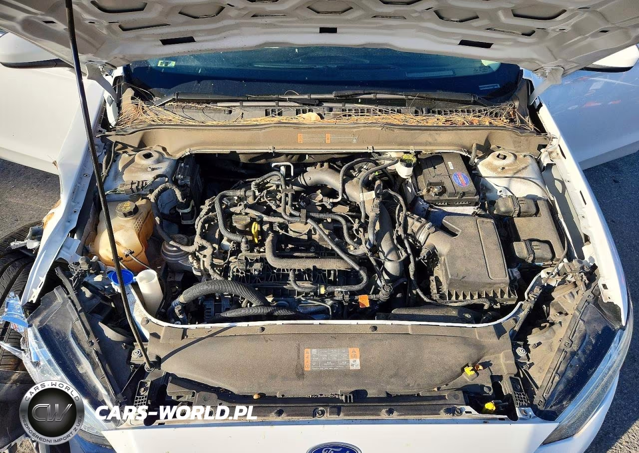 2019 Ford Fusion Se VIN:3FA6P0HD2KR215921 - 11