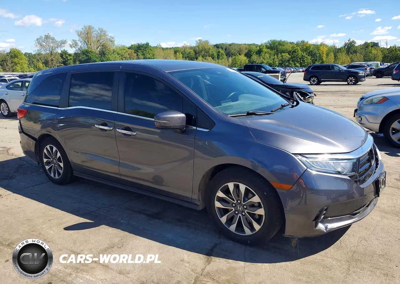2002 Honda Odyssey Ex VIN:5FNRL6H71MB040002 - 4