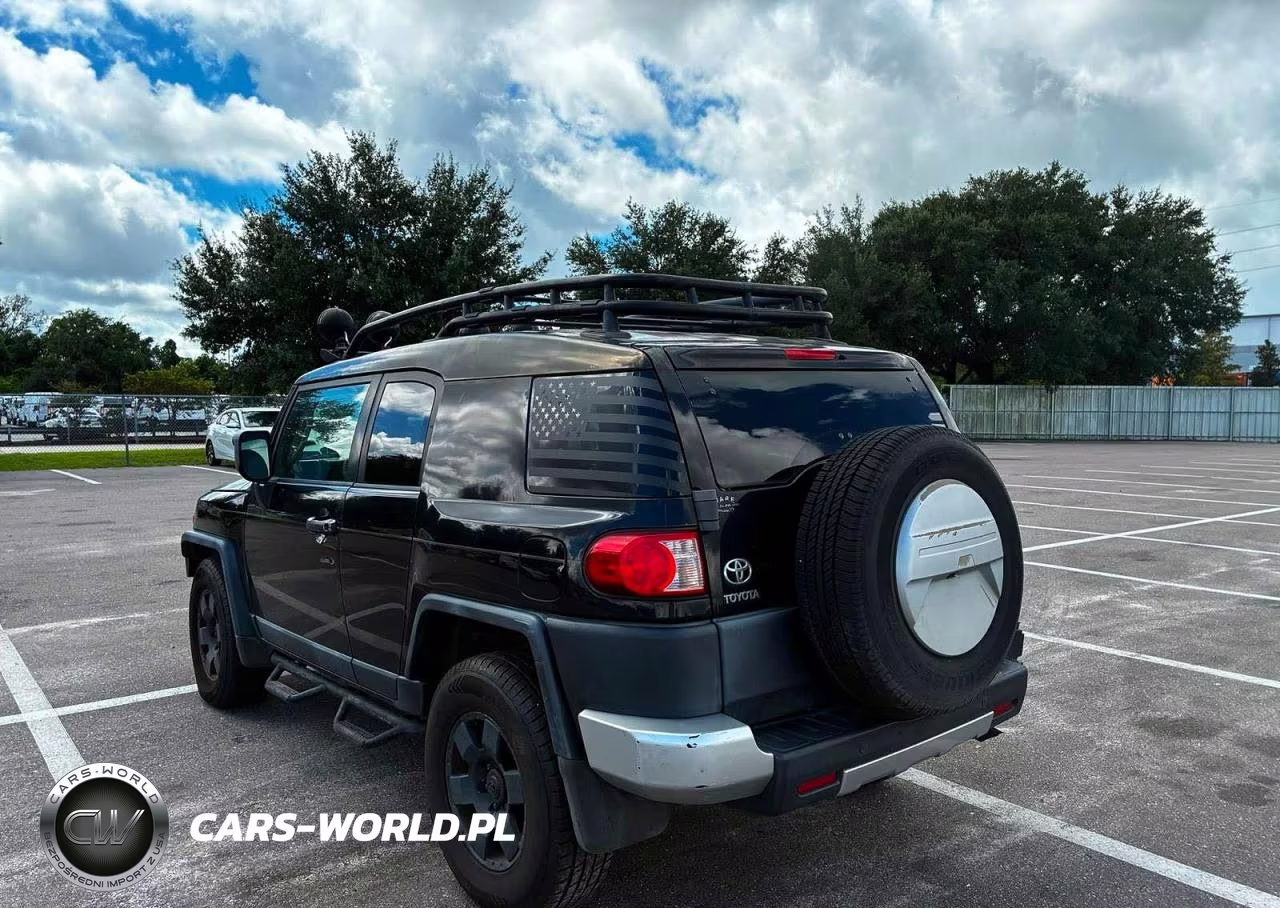 2010 Toyota Fj Cruiser Base VIN:JTEBU4BF6AK084090 - 3