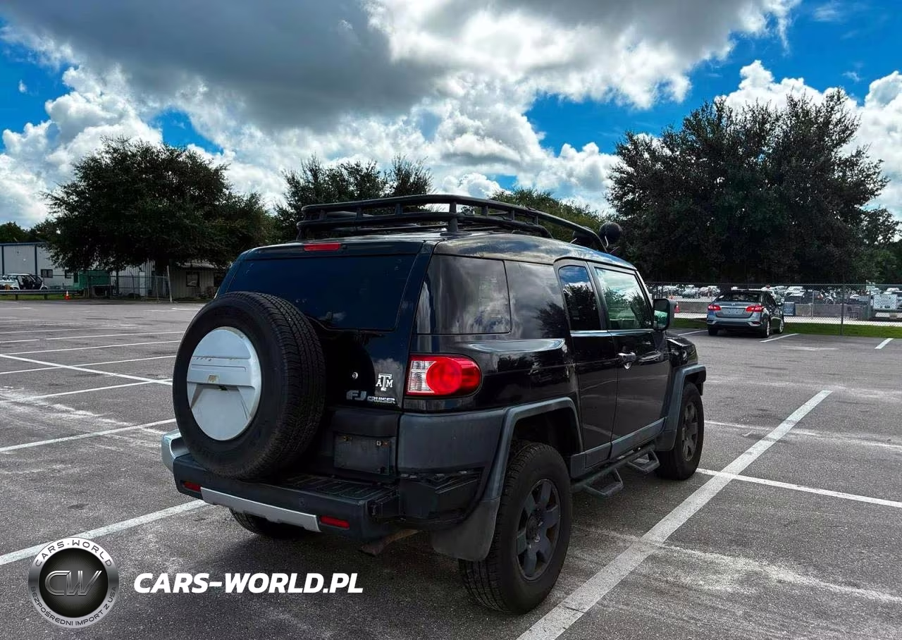 2010 Toyota Fj Cruiser Base VIN:JTEBU4BF6AK084090 - 4