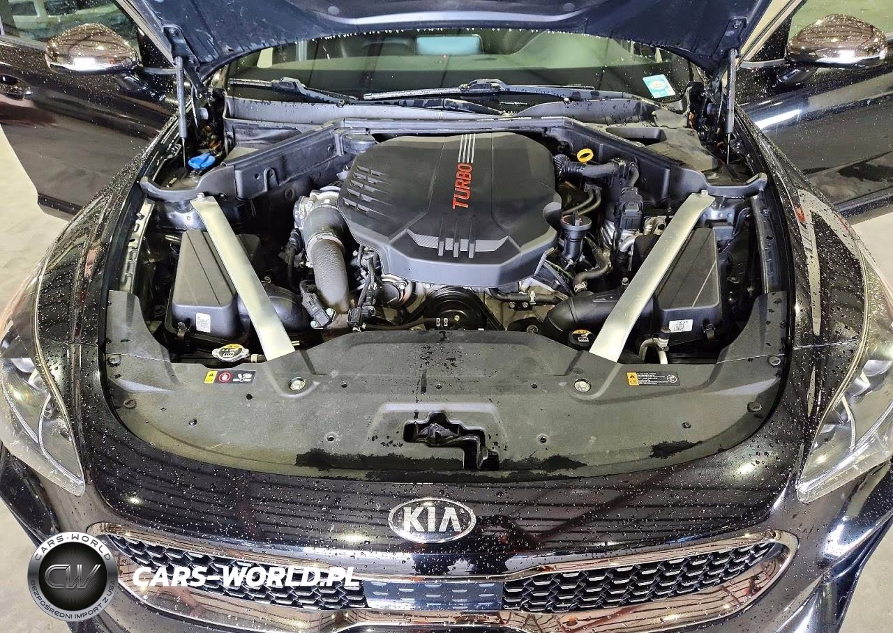2020 Kia Stinger Gt1 VIN:KNAE45LC2L6079814 - 11