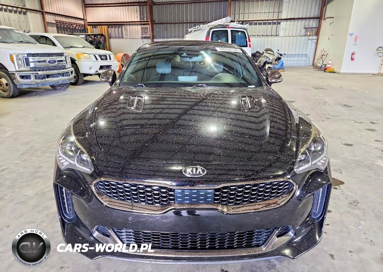 2020 Kia Stinger Gt1 VIN:KNAE45LC2L6079814 - 5