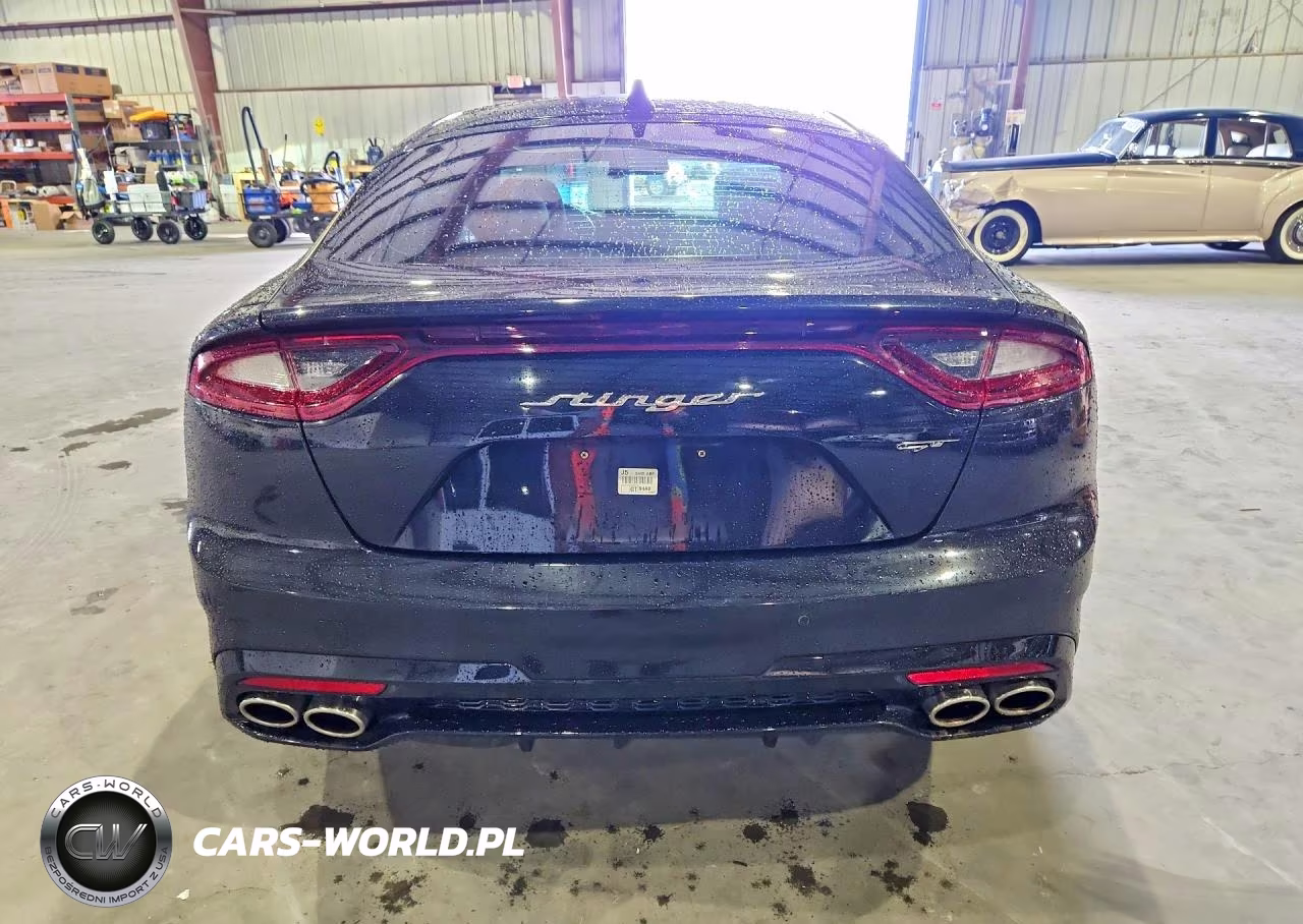 2020 Kia Stinger Gt1 VIN:KNAE45LC2L6079814 - 6
