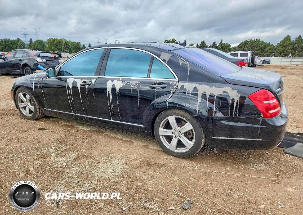 2010 Mercedes-Benz S 550 4Matic VIN:WDDNG8GB1AA289544 - 2