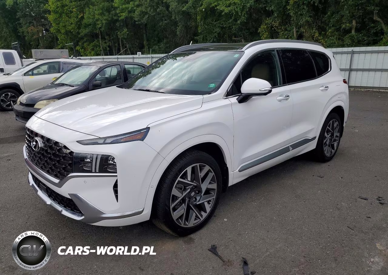 2023 Hyundai Santa Fe Calligraphy VIN:5NMS54AL7PH553085 - 1