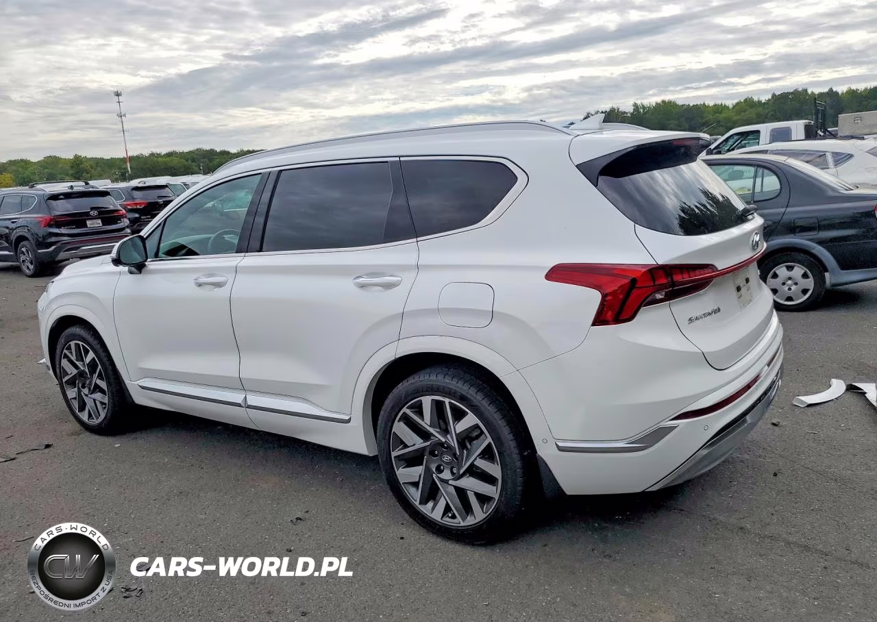 2023 Hyundai Santa Fe Calligraphy VIN:5NMS54AL7PH553085 - 2