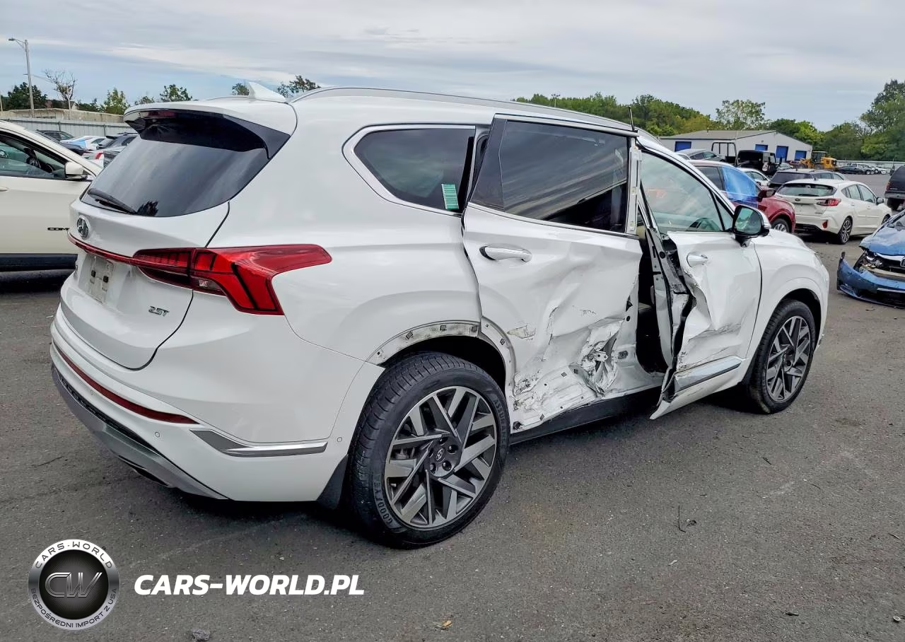 2023 Hyundai Santa Fe Calligraphy VIN:5NMS54AL7PH553085 - 3