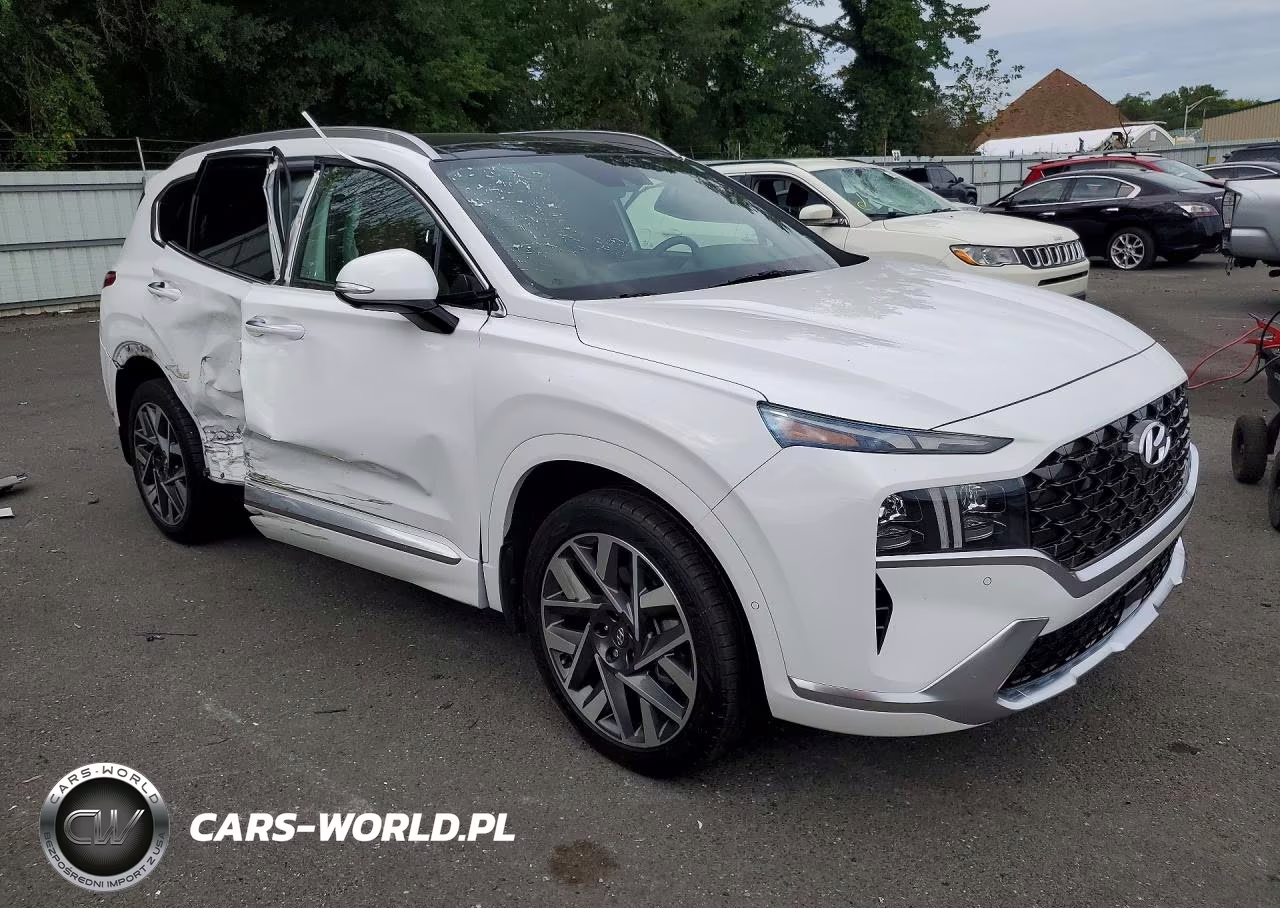 2023 Hyundai Santa Fe Calligraphy VIN:5NMS54AL7PH553085 - 4