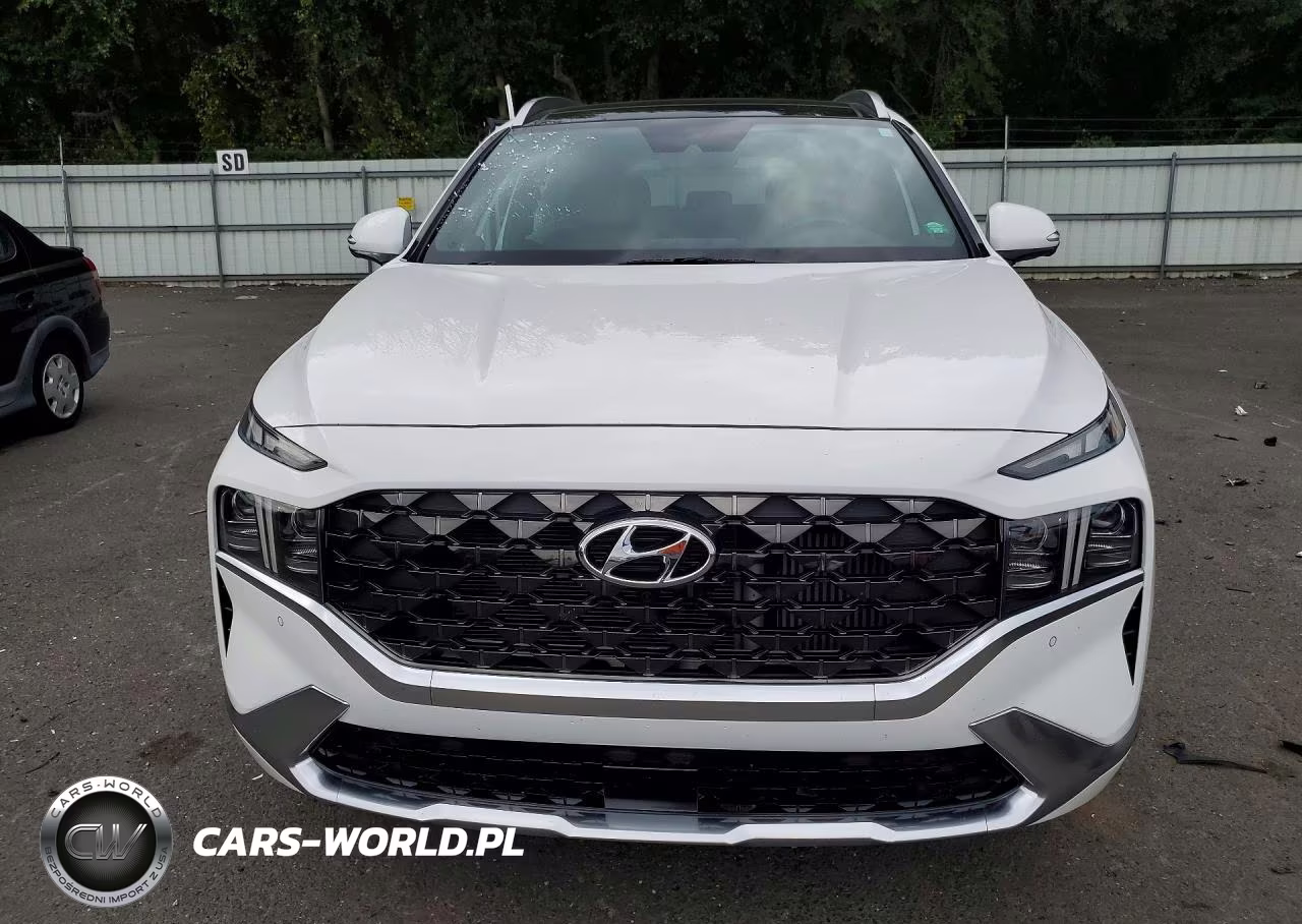 2023 Hyundai Santa Fe Calligraphy VIN:5NMS54AL7PH553085 - 5