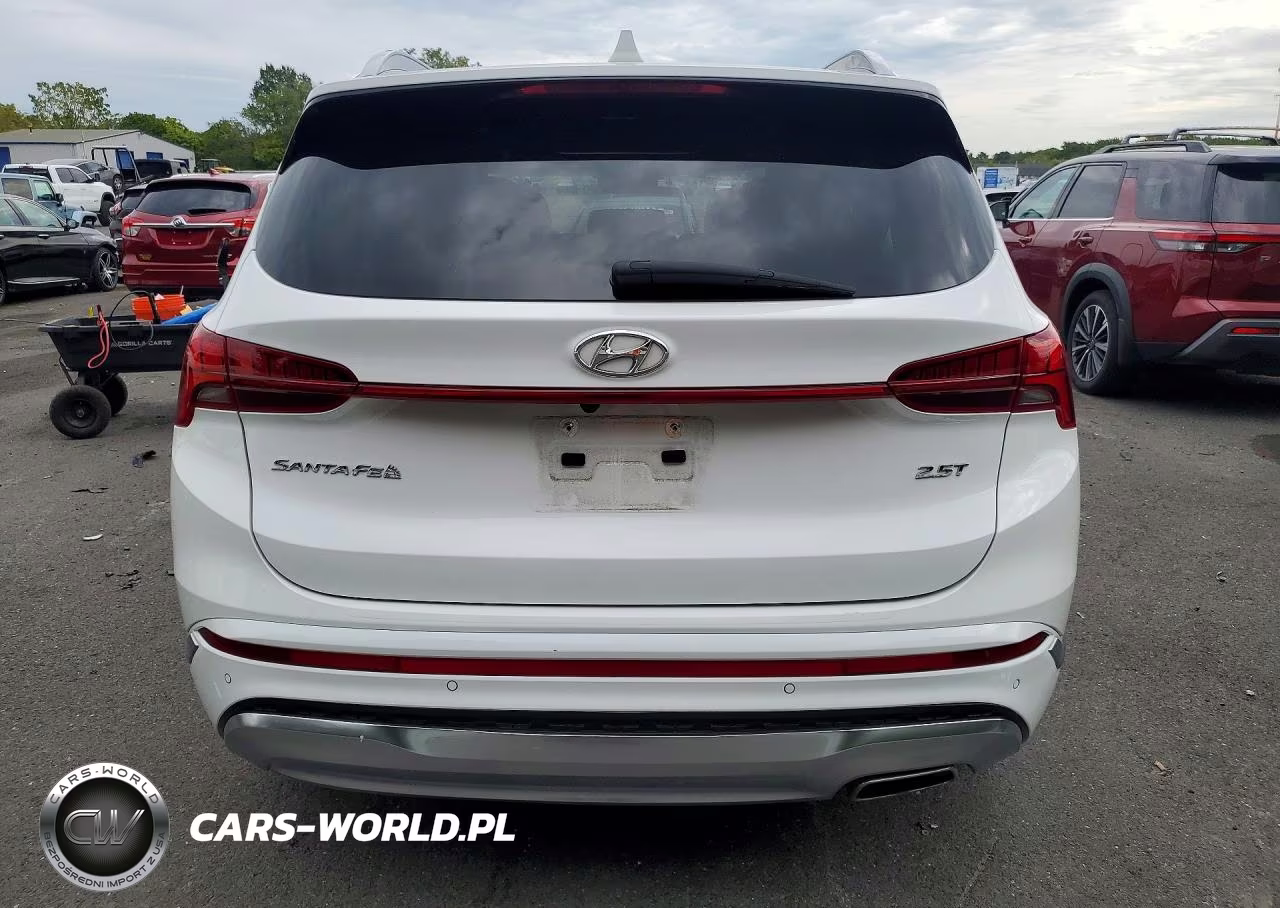 2023 Hyundai Santa Fe Calligraphy VIN:5NMS54AL7PH553085 - 6