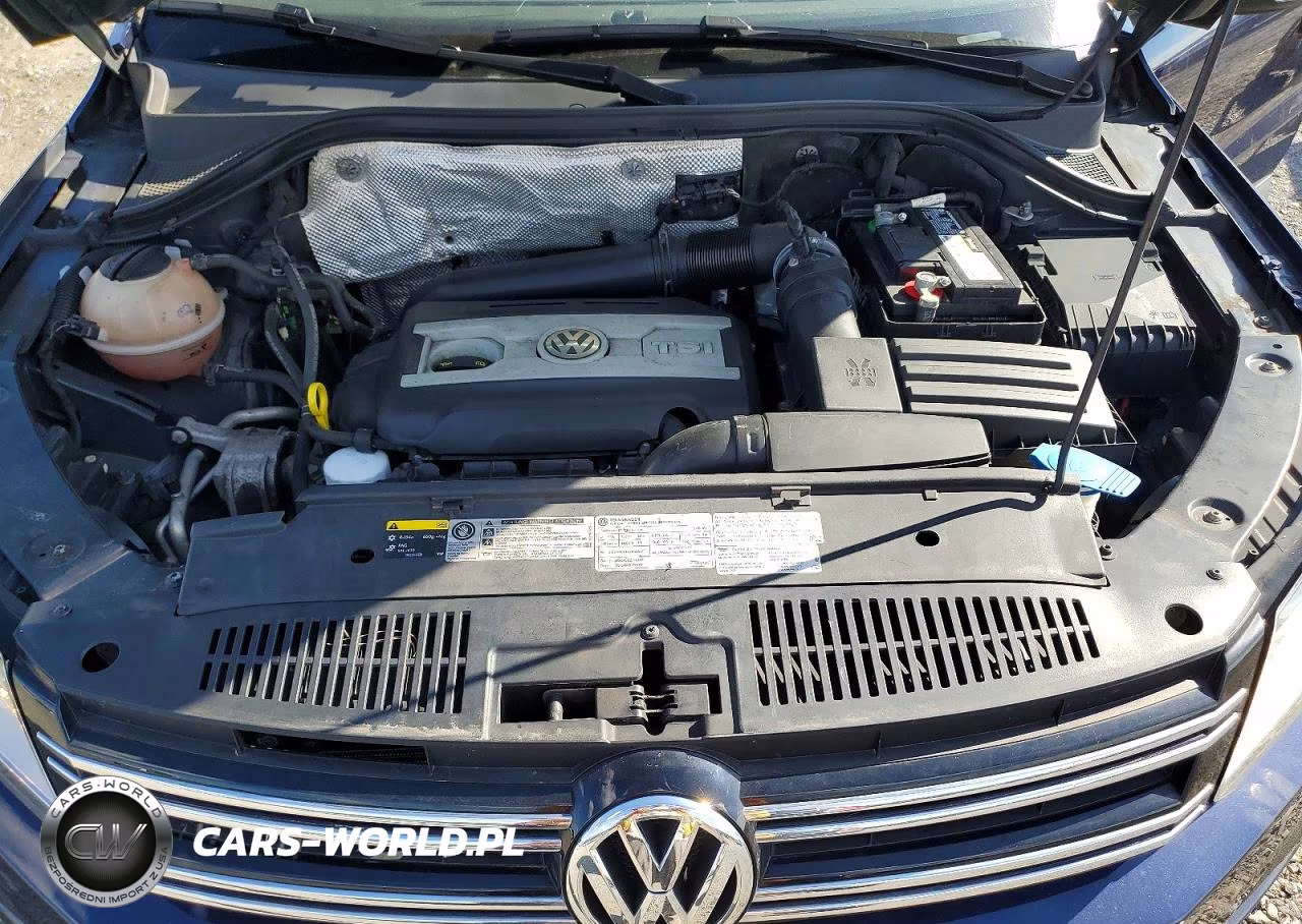 2016 Volkswagen Tiguan S VIN:WVGBV7AX6GW526201 - 12