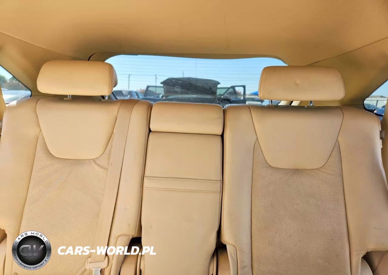 2010 Lexus Rx 350 VIN:JTJZK1BA8A2405894 - 10