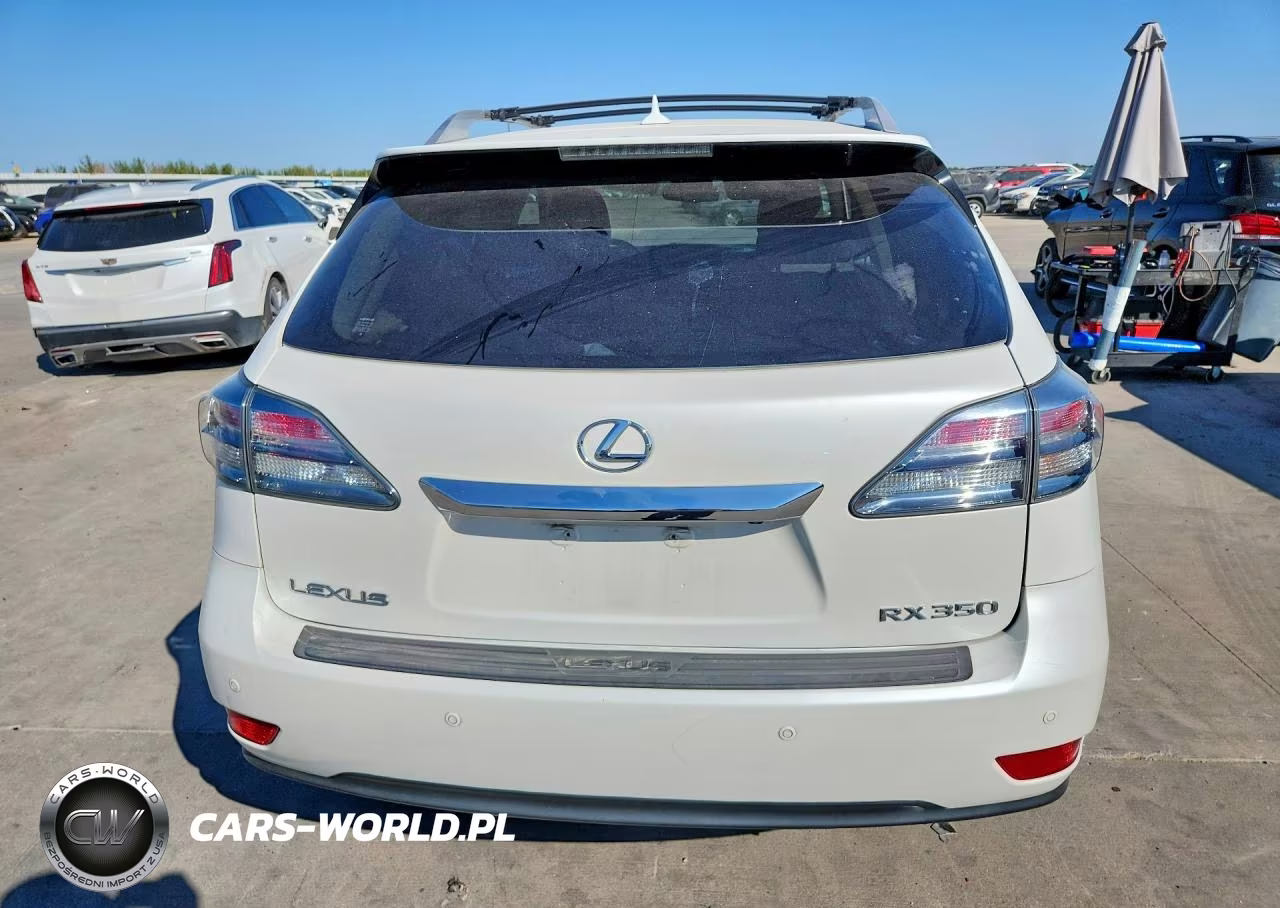 2010 Lexus Rx 350 VIN:JTJZK1BA8A2405894 - 6