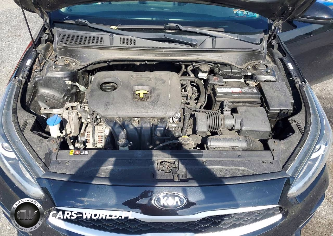 2019 Kia Forte Lxs VIN:3KPF24AD8KE024022 - 11