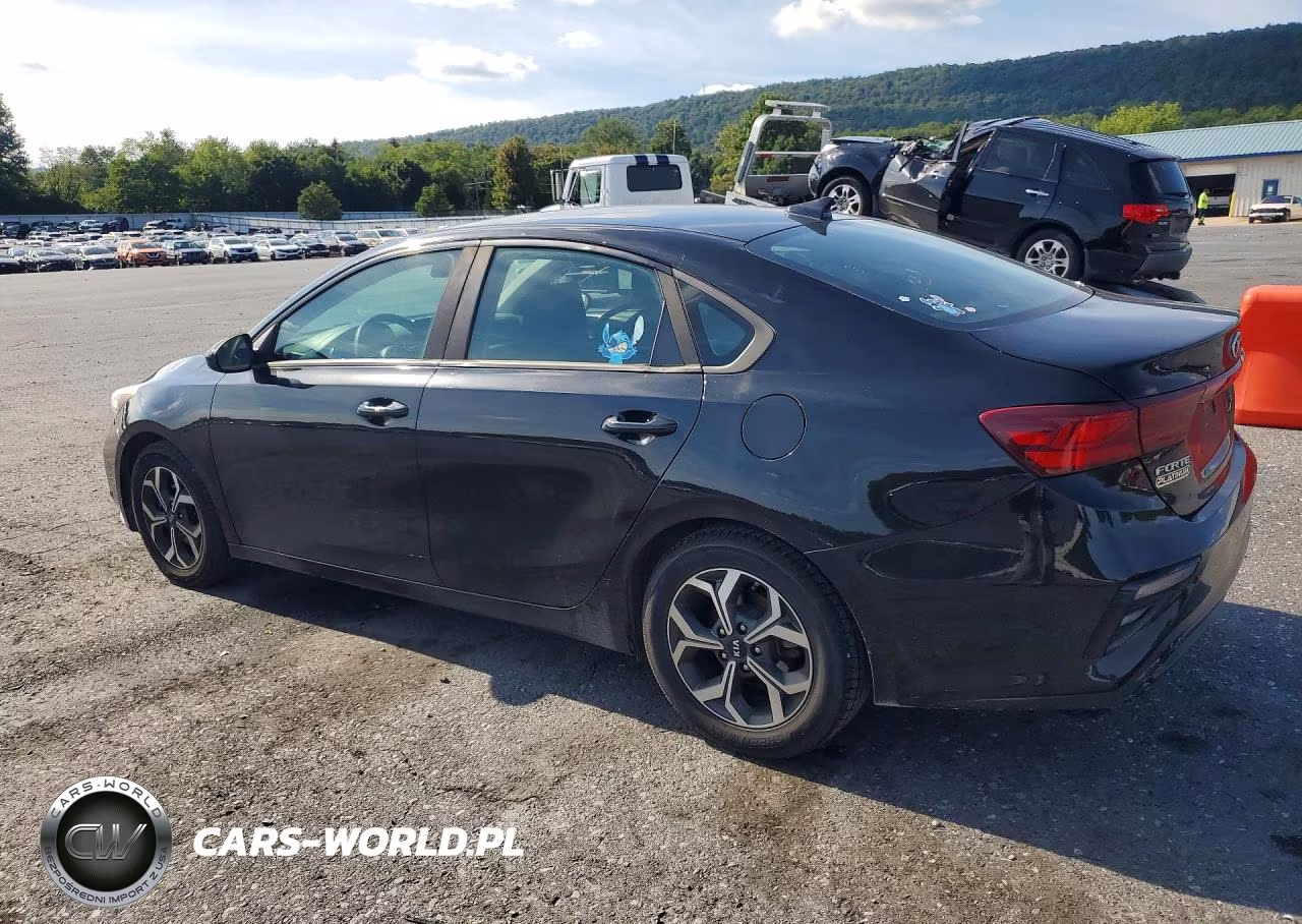 2019 Kia Forte Lxs VIN:3KPF24AD8KE024022 - 2