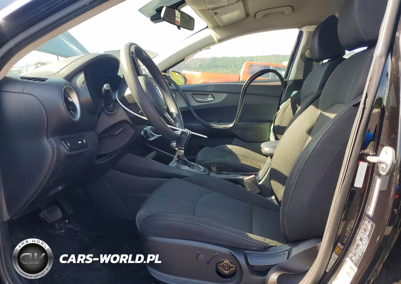 2019 Kia Forte Lxs VIN:3KPF24AD8KE024022 - 7