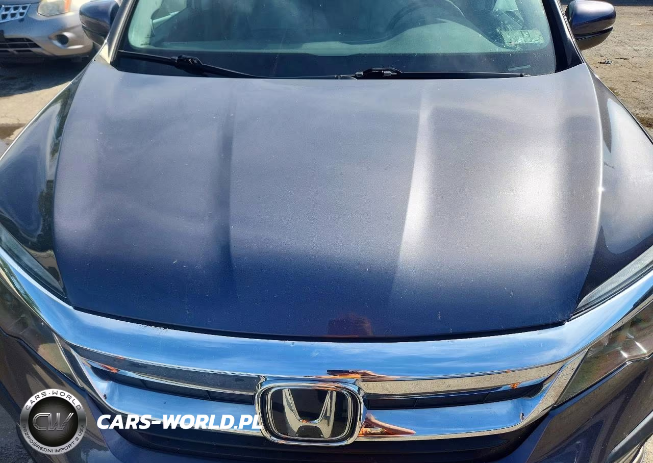 2020 Honda Pilot Exl VIN:5FNYF6H52LB066494 - 12