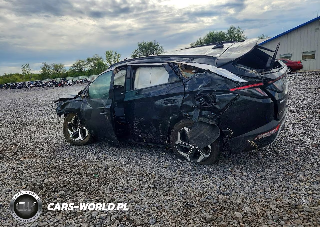 2023 Hyundai Tucson Limited VIN:5NMJECAE2PH272092 - 2