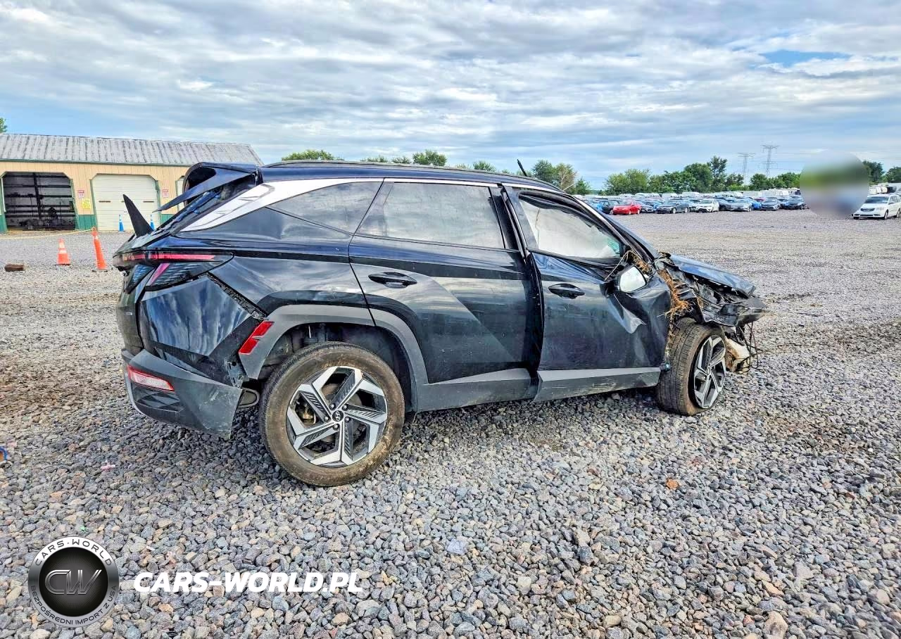 2023 Hyundai Tucson Limited VIN:5NMJECAE2PH272092 - 3