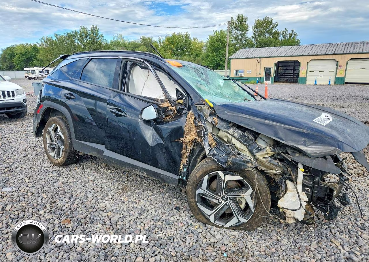 2023 Hyundai Tucson Limited VIN:5NMJECAE2PH272092 - 4