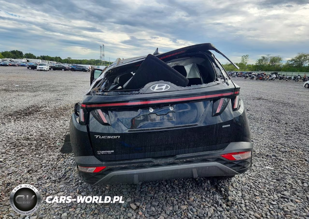 2023 Hyundai Tucson Limited VIN:5NMJECAE2PH272092 - 6