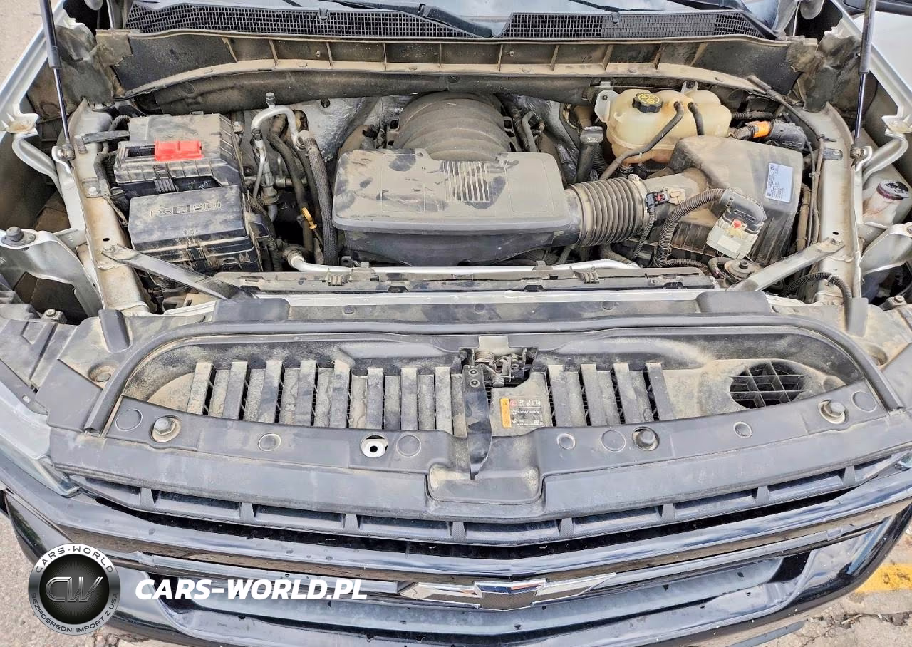 2019 Chevrolet Silverado K1500 Lt Trail Boss VIN:3GCPYFED0KG105304 - 11