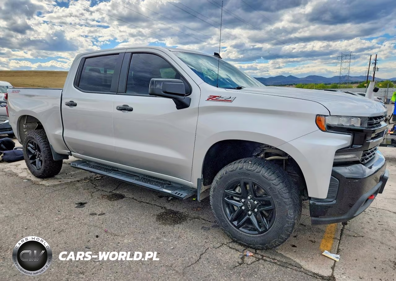 2019 Chevrolet Silverado K1500 Lt Trail Boss VIN:3GCPYFED0KG105304 - 4