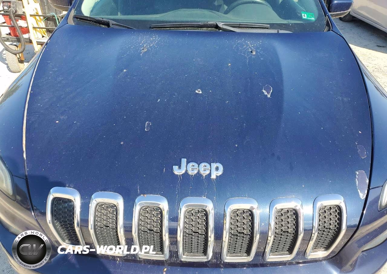 2014 Jeep Cherokee Latitude VIN:1C4PJLCB3EW148318 - 11