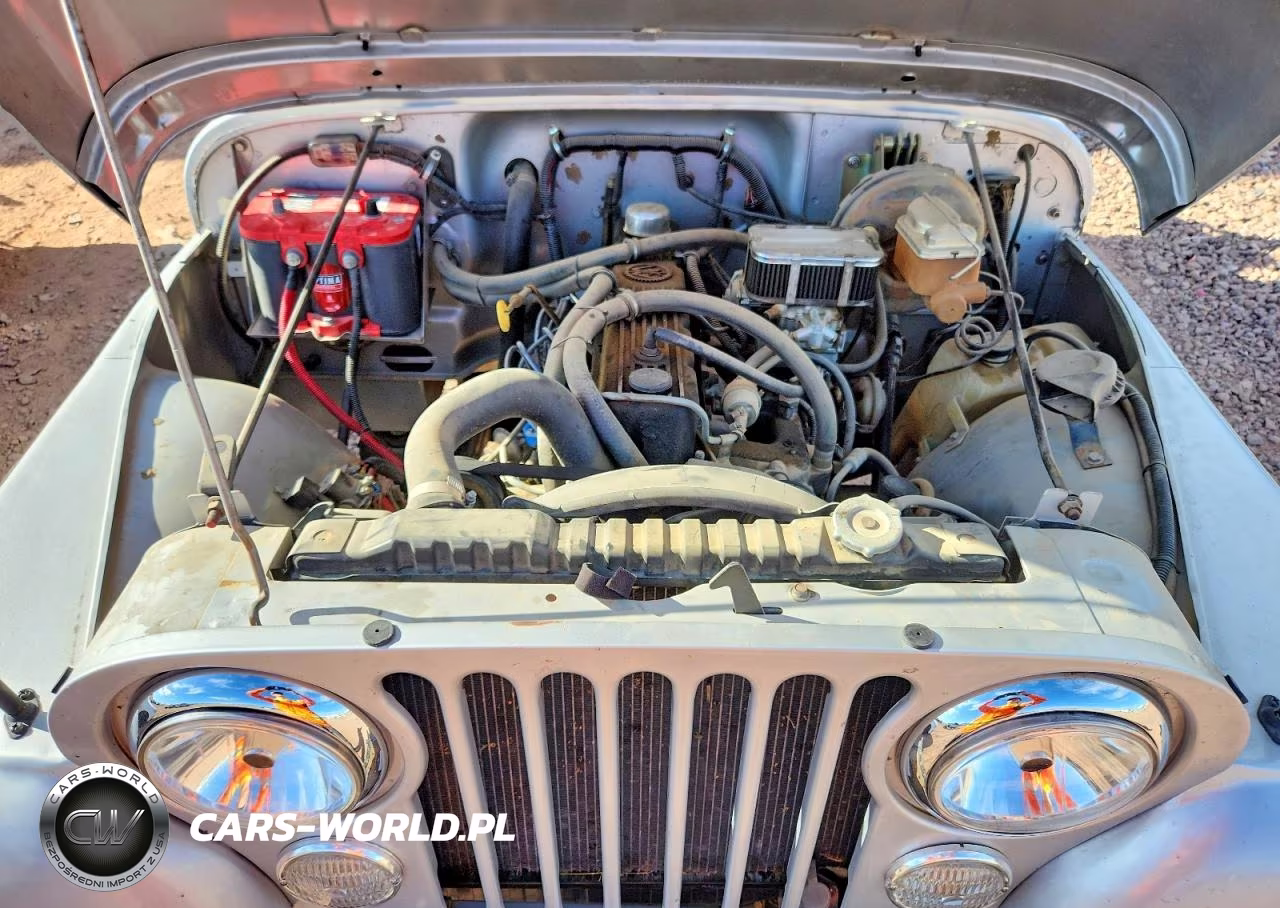 1983 Jeep Jeep Cj5 VIN:1JCCM85A9DT050013 - 11