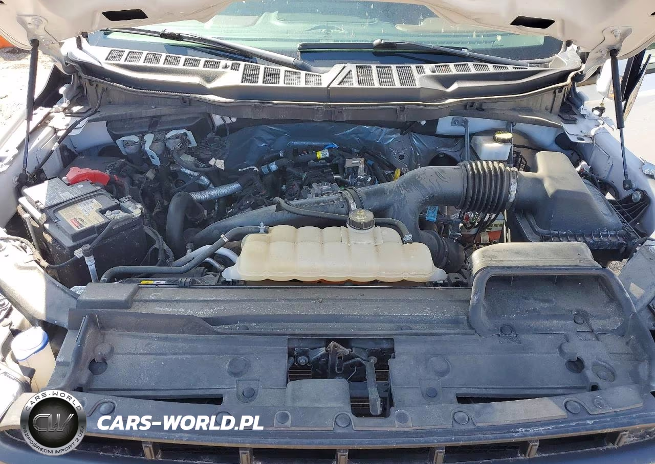 2023 Ford F150 Supercrew VIN:1FTEW1EP5PFB10176 - 11
