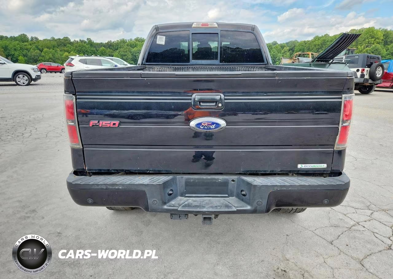 2014 Ford F150 Supercrew VIN:1FTFW1ET0EFA79207 - 6