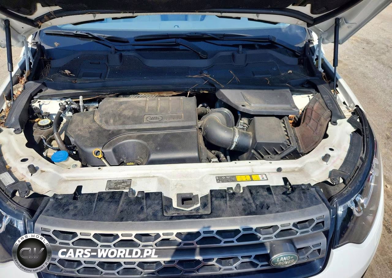 2019 Land Rover Discovery Sport Se VIN:SALCP2FX6KH803630 - 12