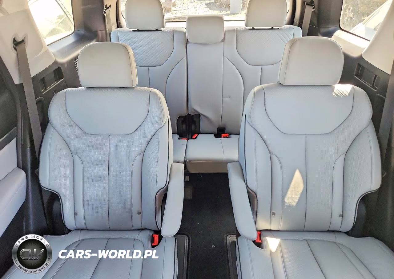 2025 Hyundai Palisade Sel Premium VIN:KM8R4DGE5SU916586 - 10
