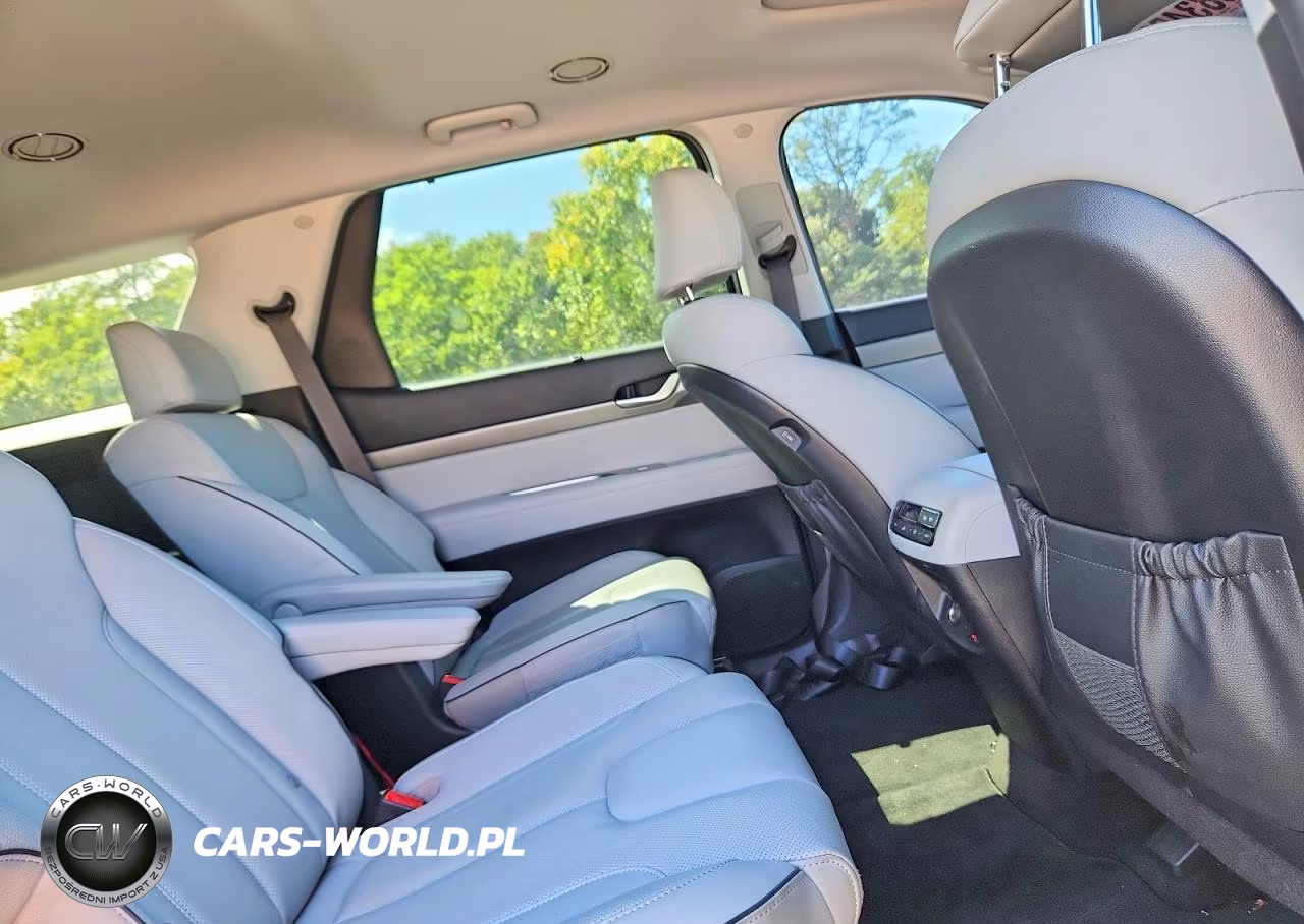 2025 Hyundai Palisade Sel Premium VIN:KM8R4DGE5SU916586 - 11