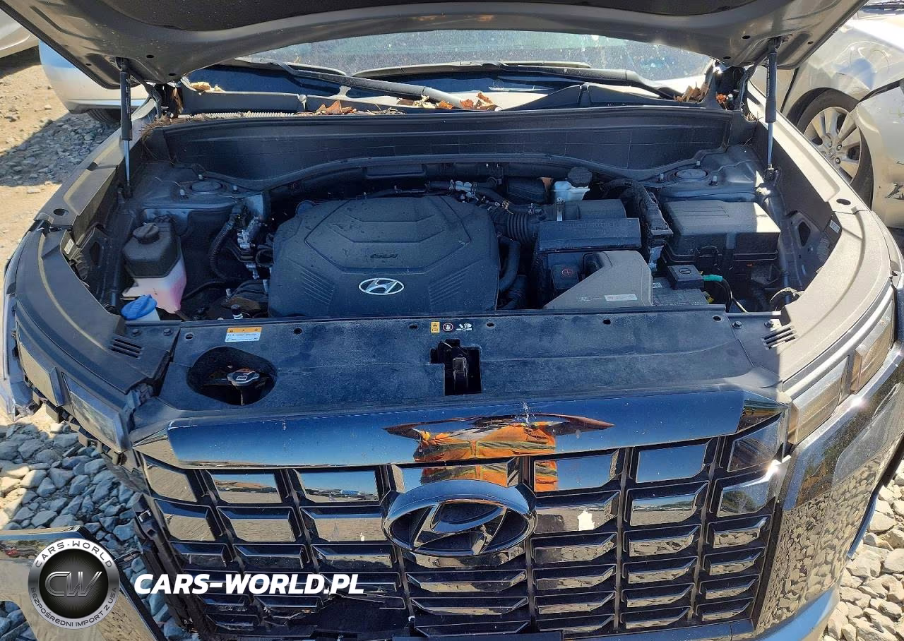 2025 Hyundai Palisade Sel Premium VIN:KM8R4DGE5SU916586 - 12