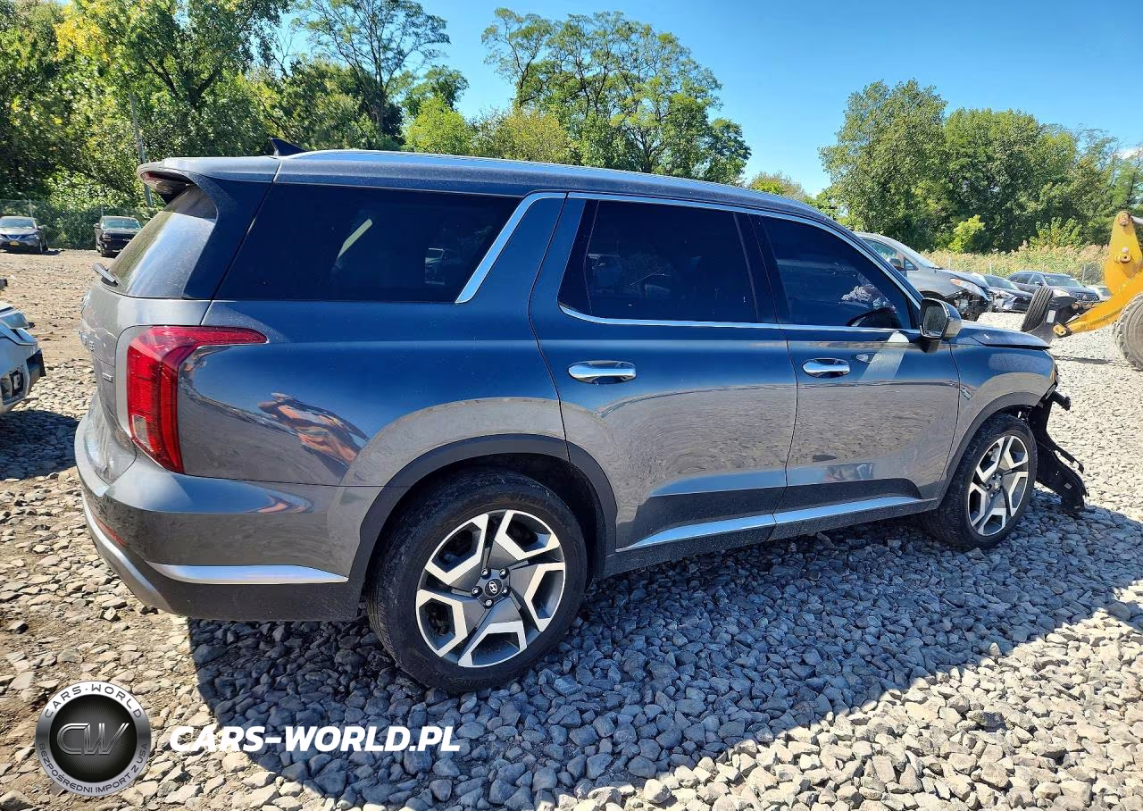 2025 Hyundai Palisade Sel Premium VIN:KM8R4DGE5SU916586 - 3