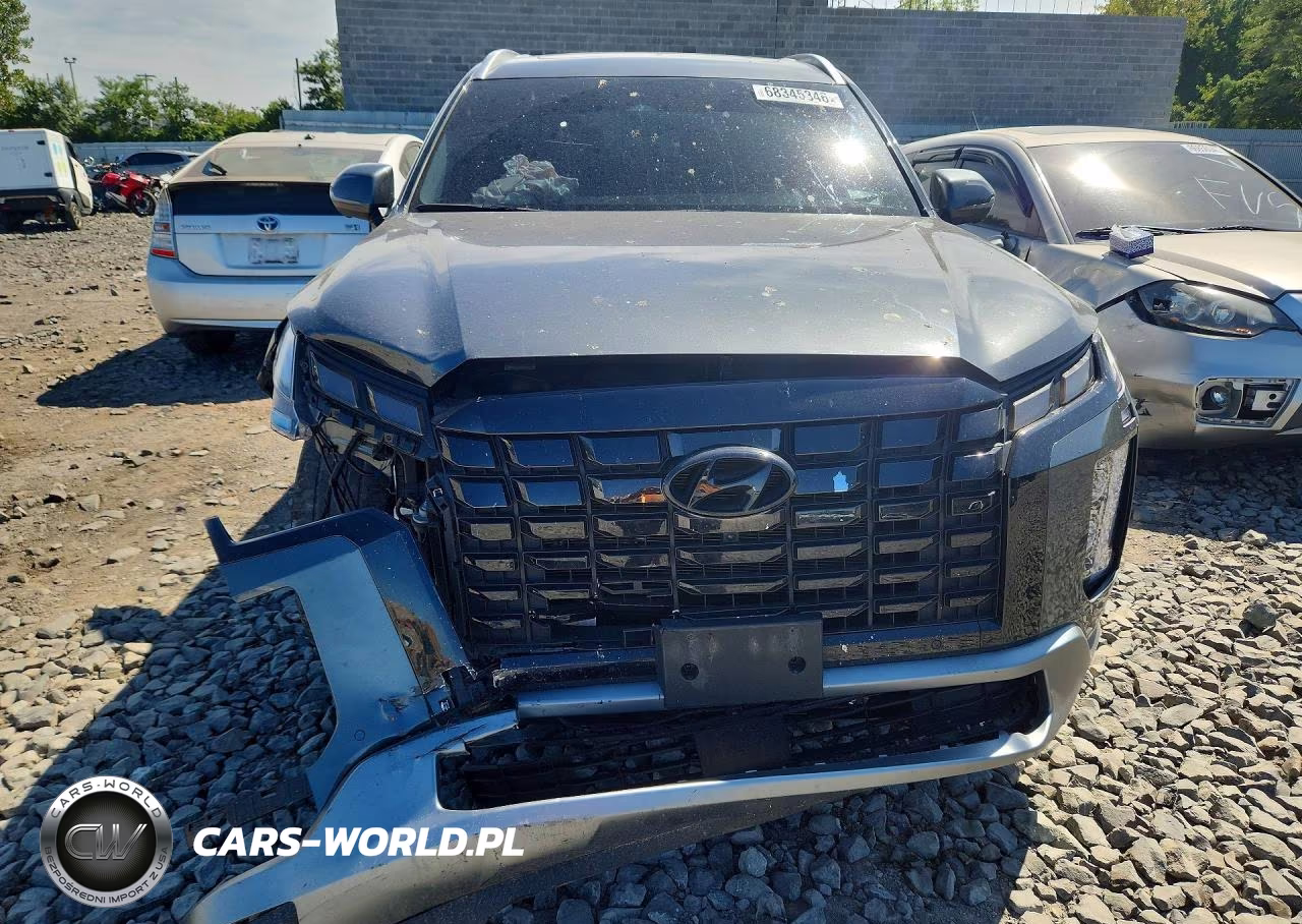 2025 Hyundai Palisade Sel Premium VIN:KM8R4DGE5SU916586 - 5
