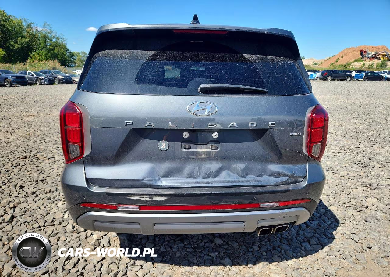 2025 Hyundai Palisade Sel Premium VIN:KM8R4DGE5SU916586 - 6