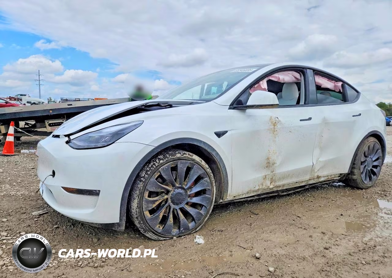 2025 Tesla Model Y VIN:7SAYGDEF7SA352483 - 1
