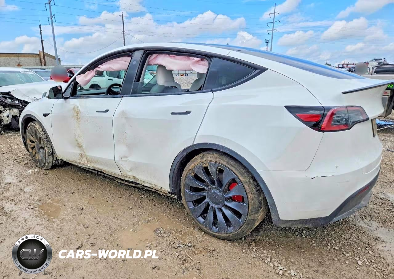 2025 Tesla Model Y VIN:7SAYGDEF7SA352483 - 2