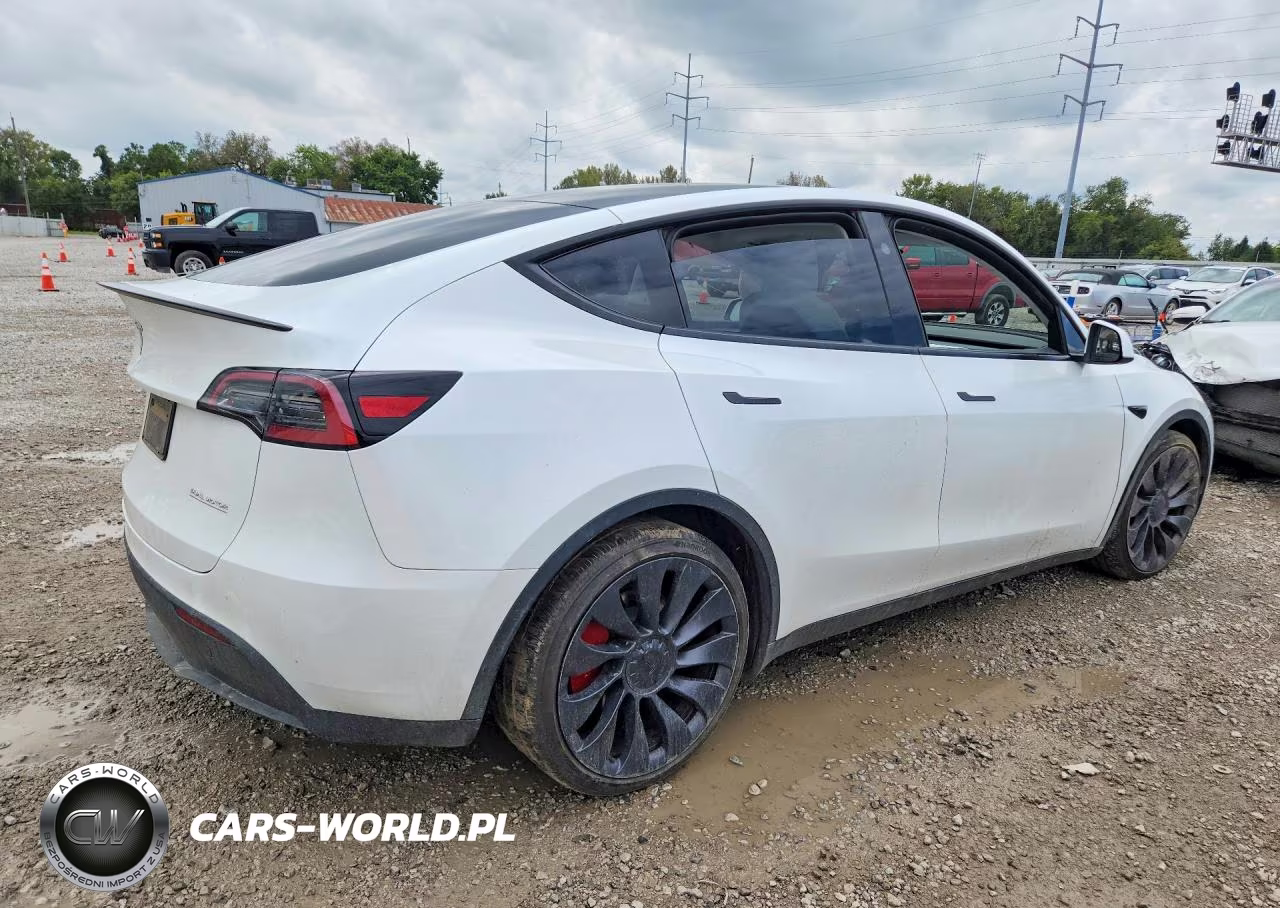 2025 Tesla Model Y VIN:7SAYGDEF7SA352483 - 3
