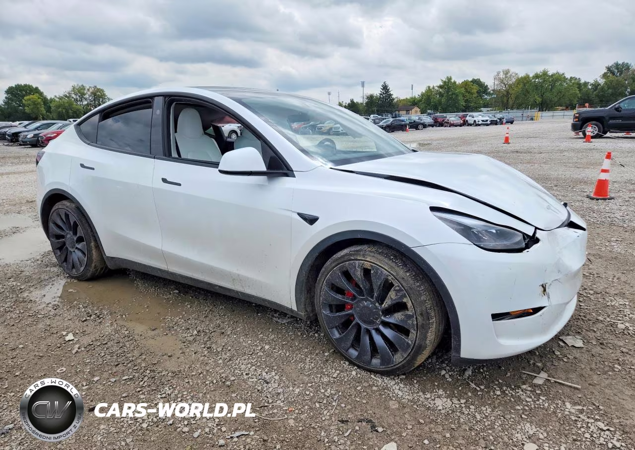 2025 Tesla Model Y VIN:7SAYGDEF7SA352483 - 4