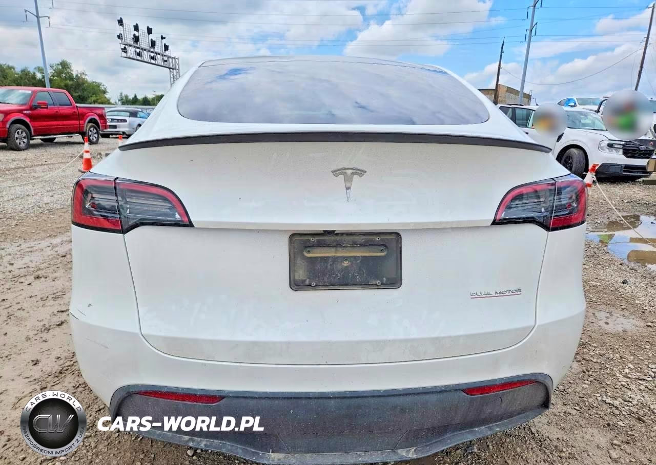 2025 Tesla Model Y VIN:7SAYGDEF7SA352483 - 6